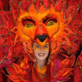 Bremer Karneval 2009