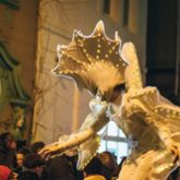 Bremer Lichtertreiben 2015